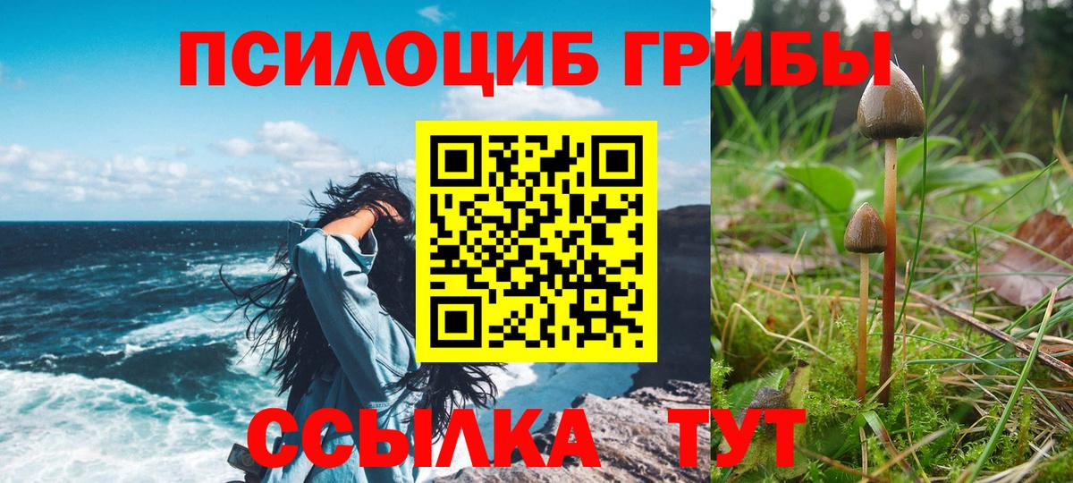 Галлюциногенные грибы прущие грибы  Вход с VPN  Новоуральск  Псилоцибиновые грибы ЛСД 